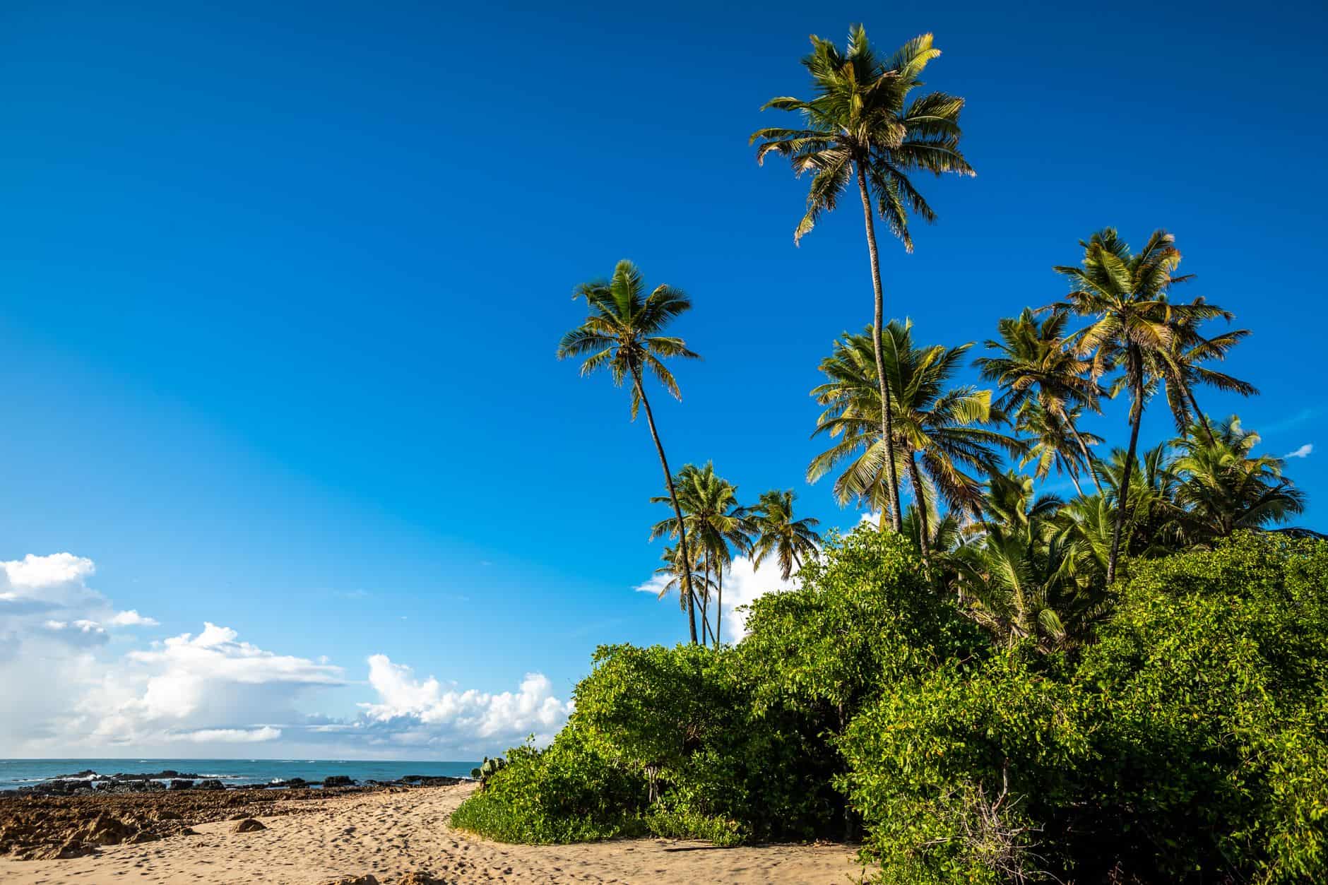 tropical beach new destination