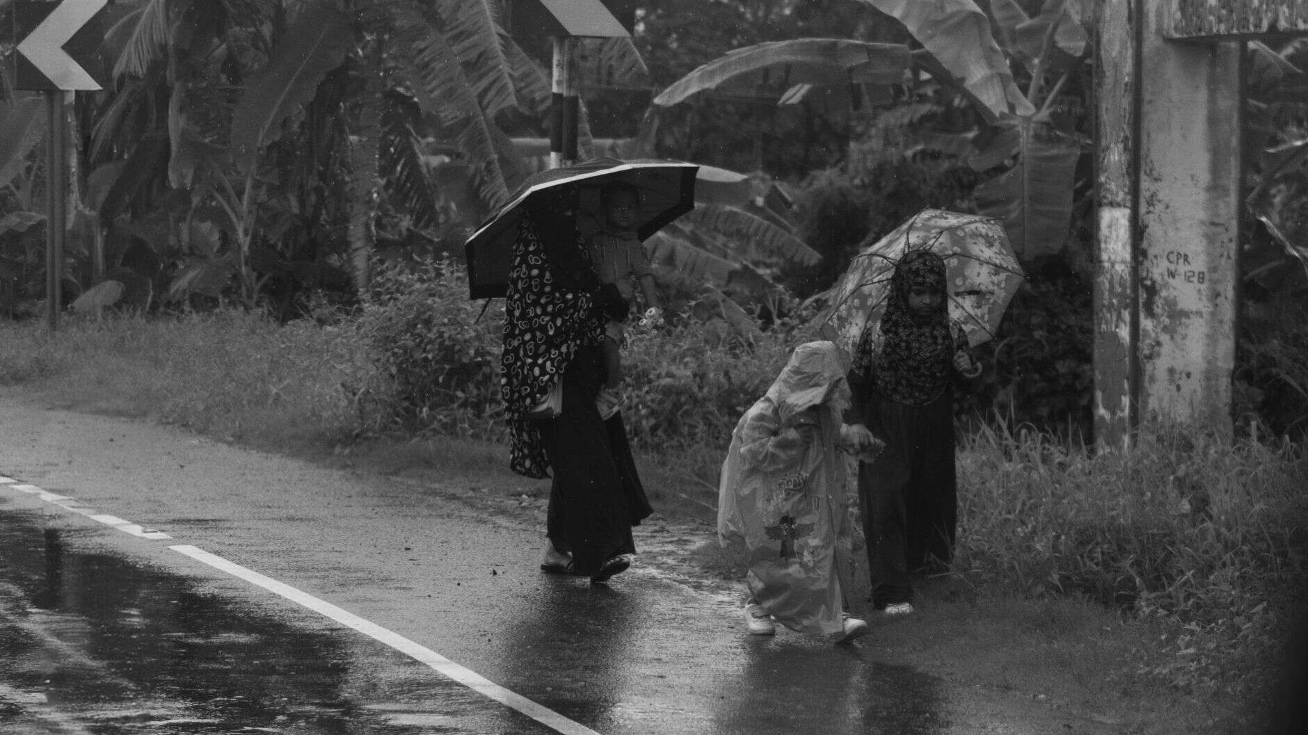 rainy season tropical asia