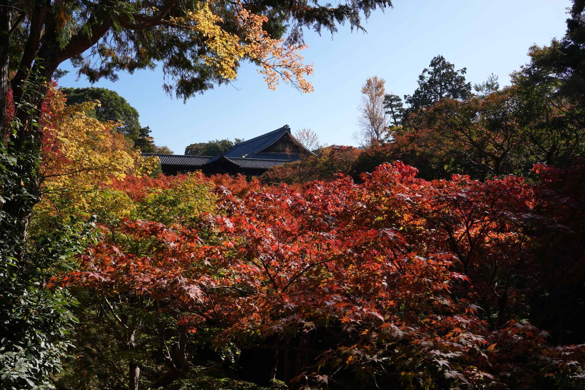 japan temple autumn winter