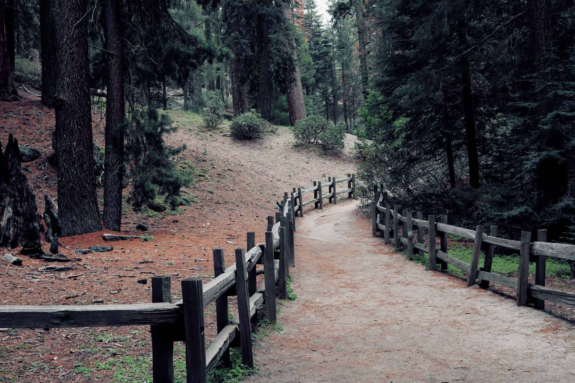 national park empty trail