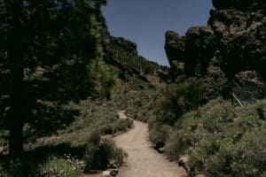 A serene hiking trail with rocky formations and greenery under a clear blue sky.