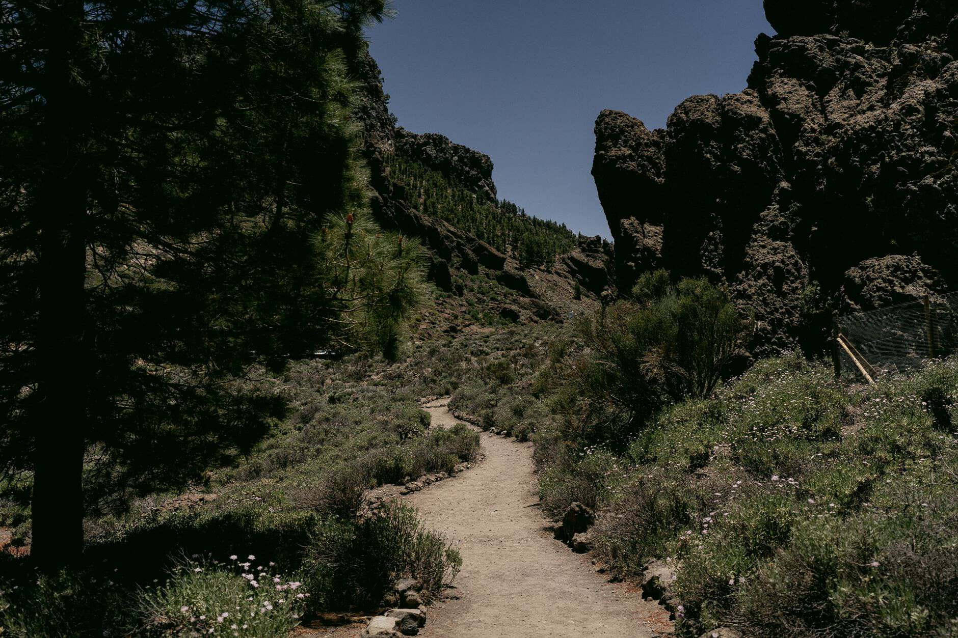 remote wilderness trail