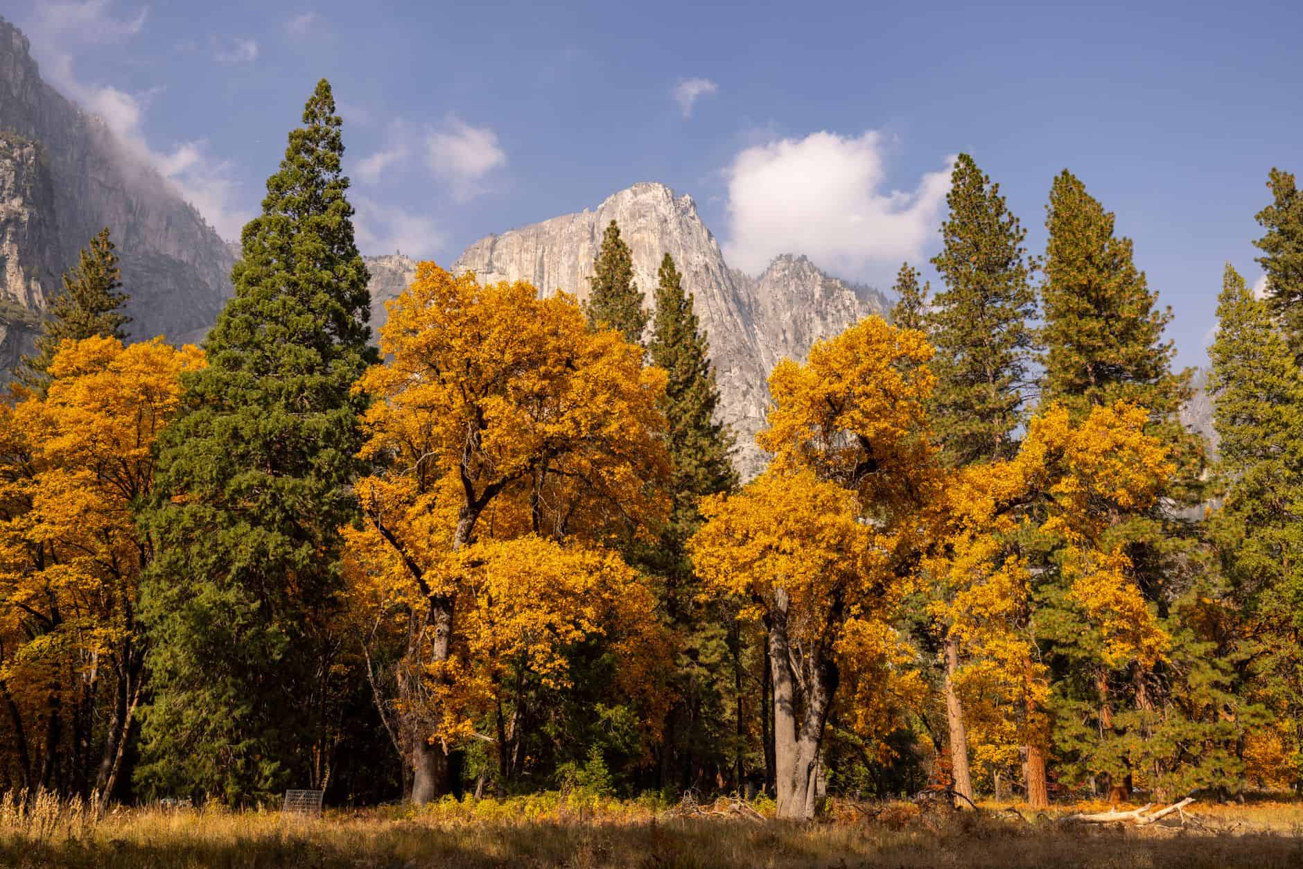 national park seasons