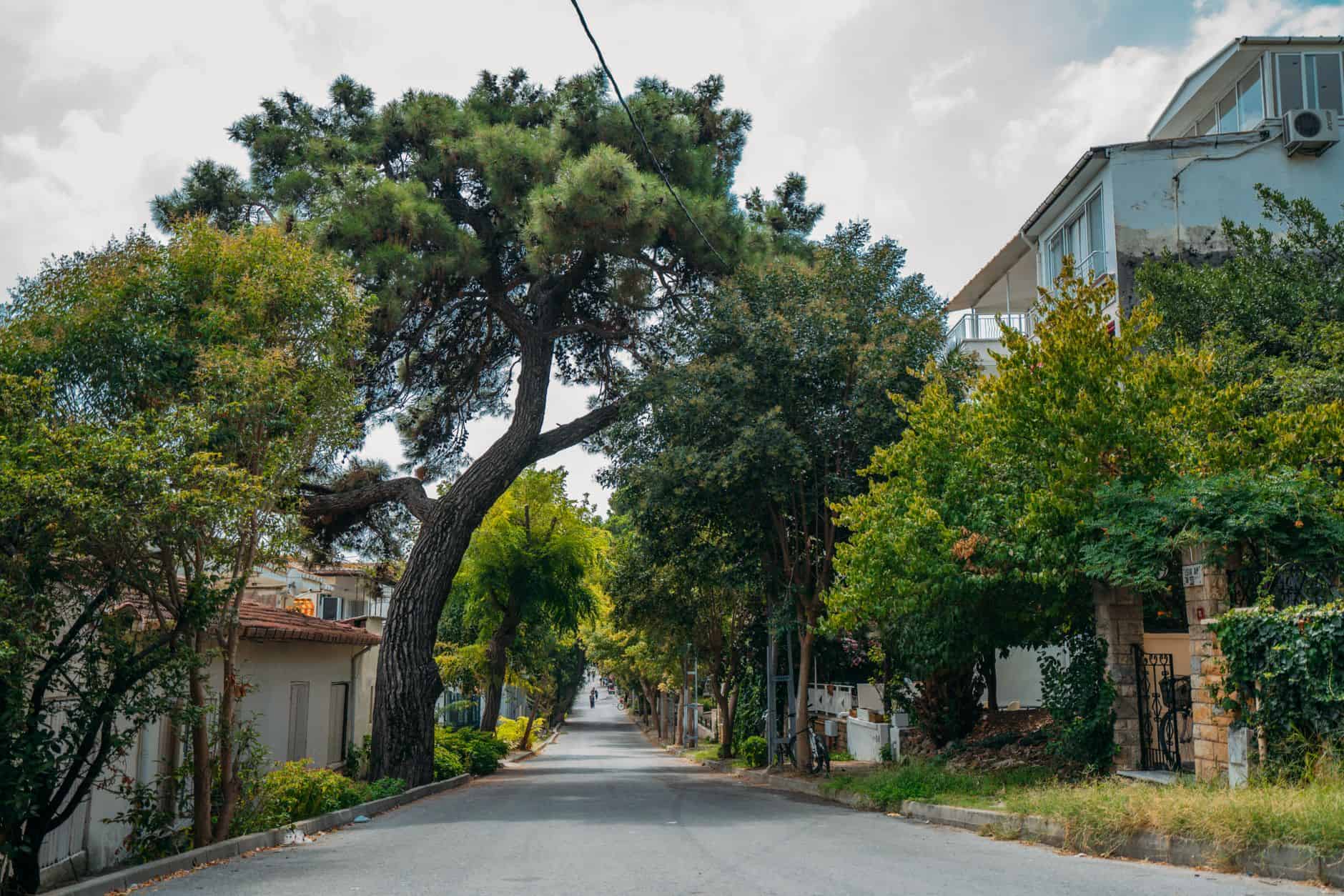empty neighborhood street