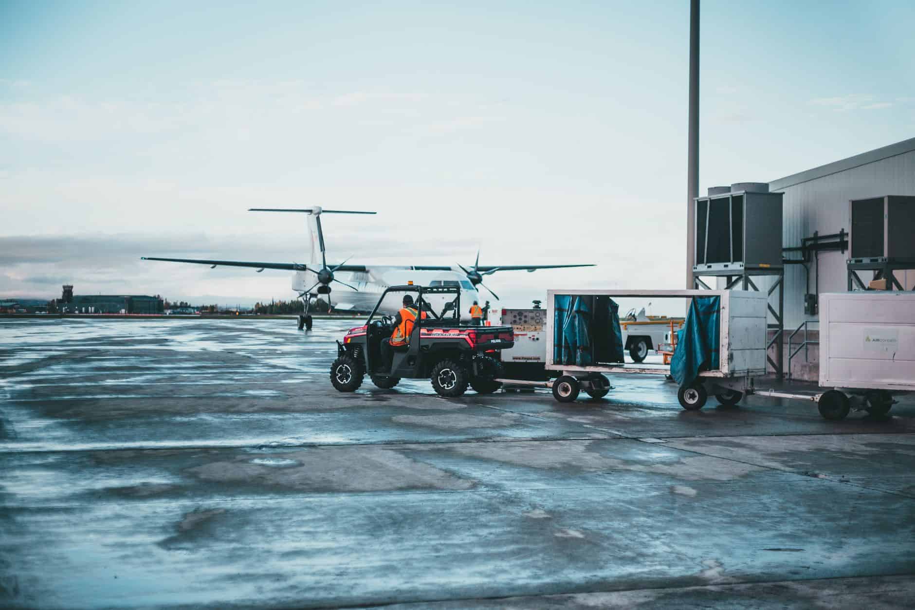 airport pet carrier cargo