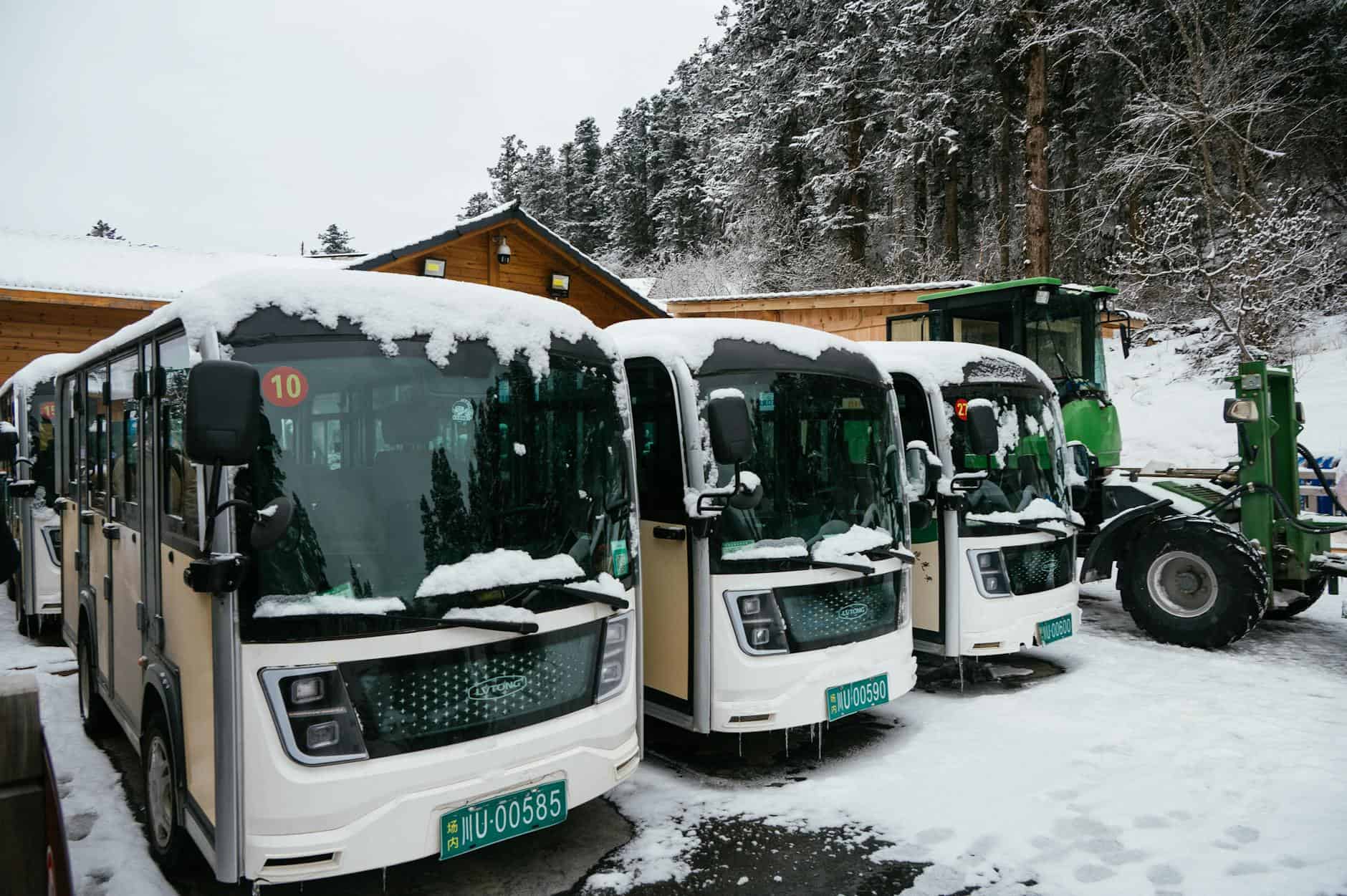 port tourist buses excursion