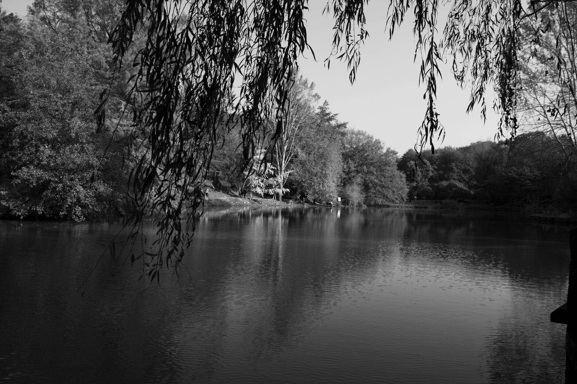 quiet lake nature peaceful