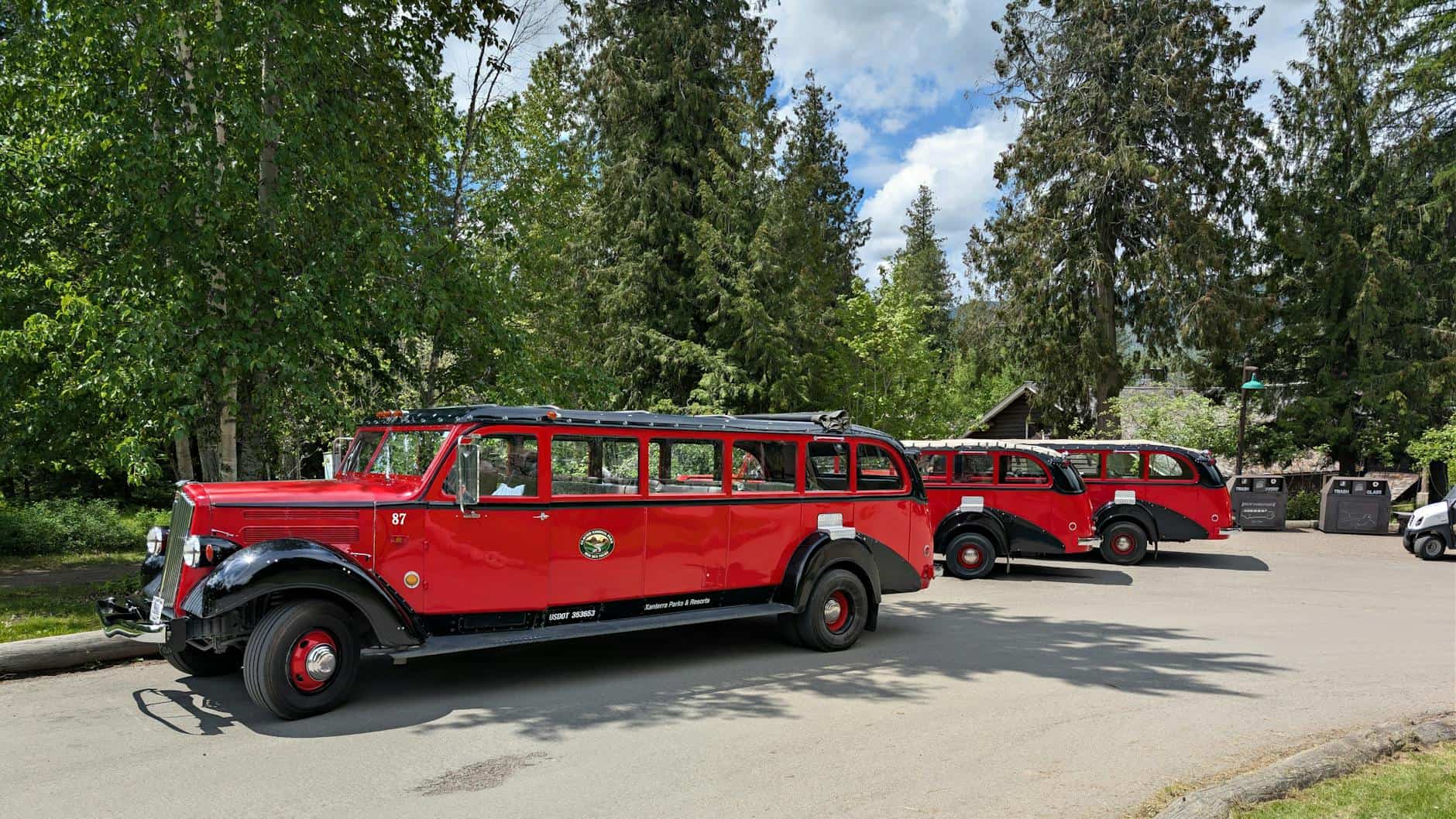 Classic red tour buses parked amid lush greenery in Montana, USA.
