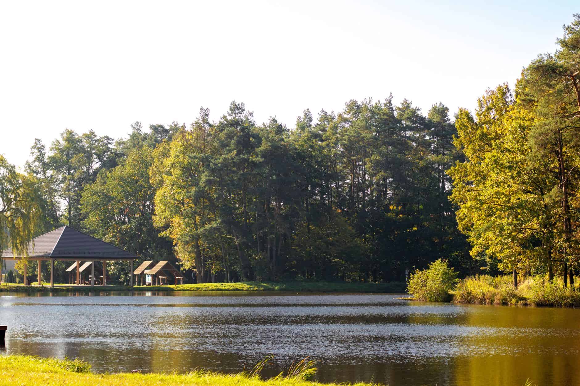 A serene lakeside view with lush green forest and cabins under a clear sky.
