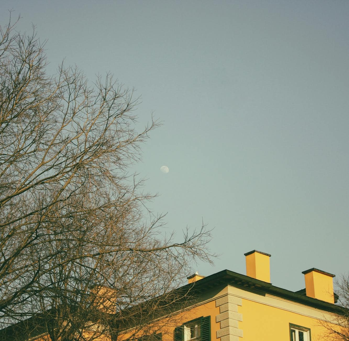 quiet neighborhood evening