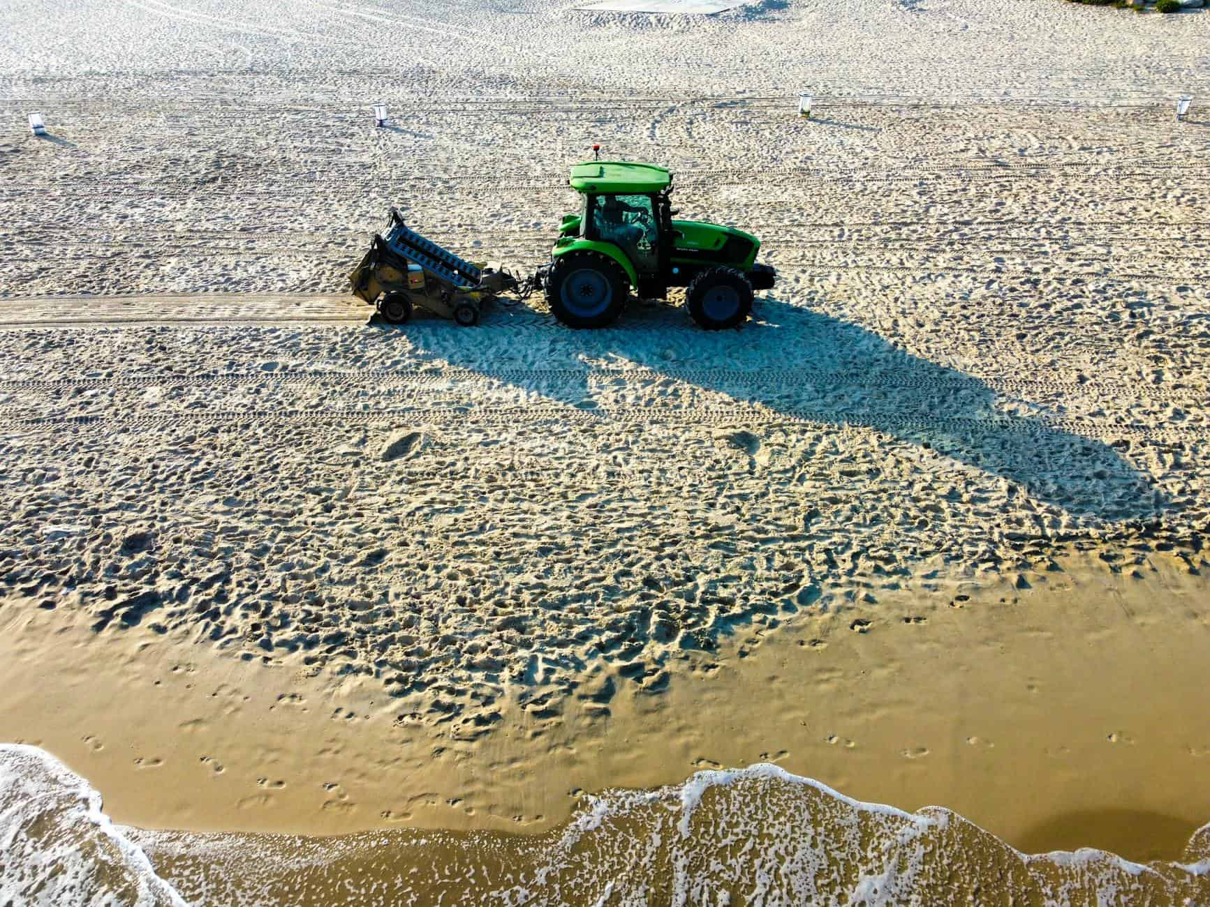 beach cleanup morning