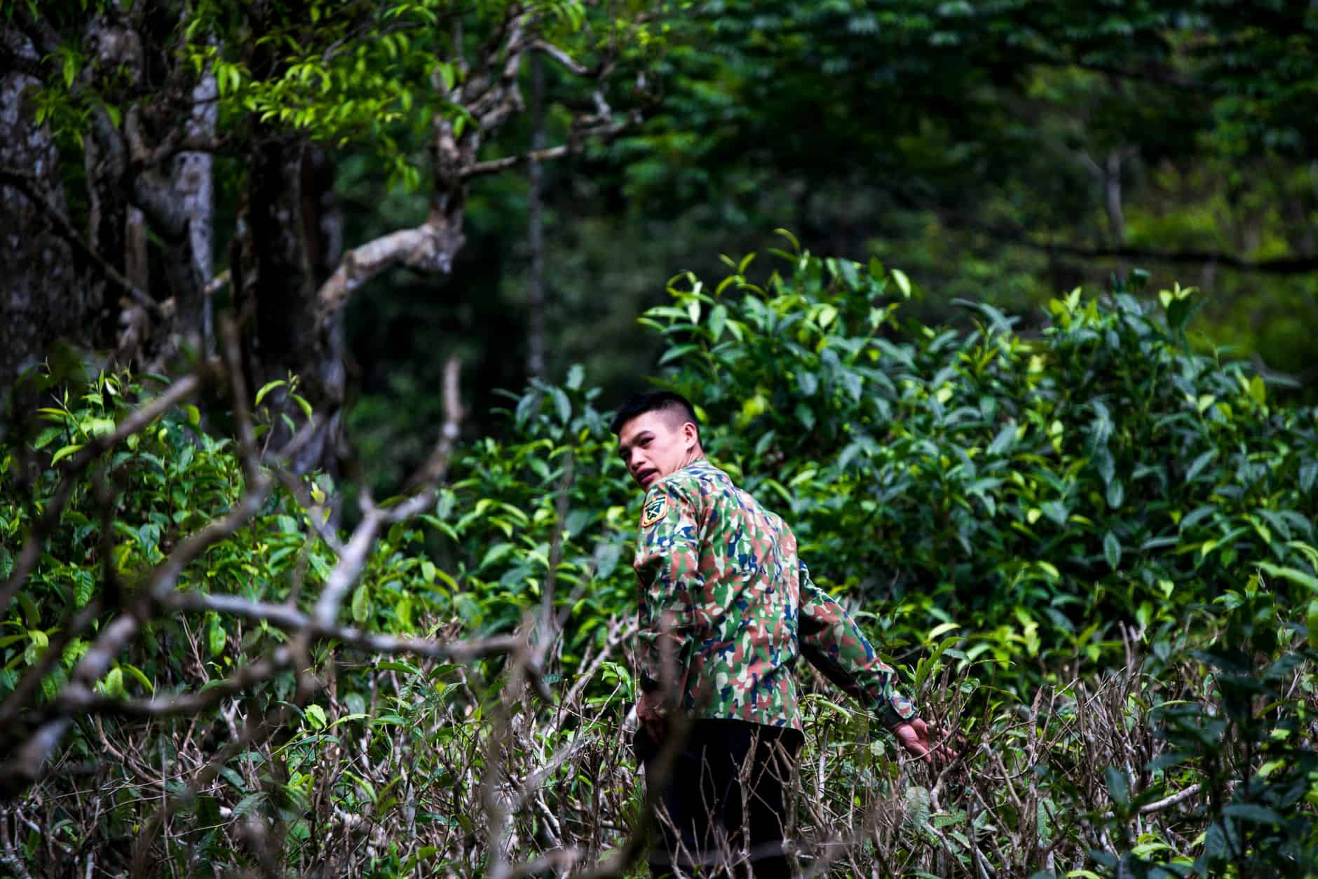 park ranger wilderness
