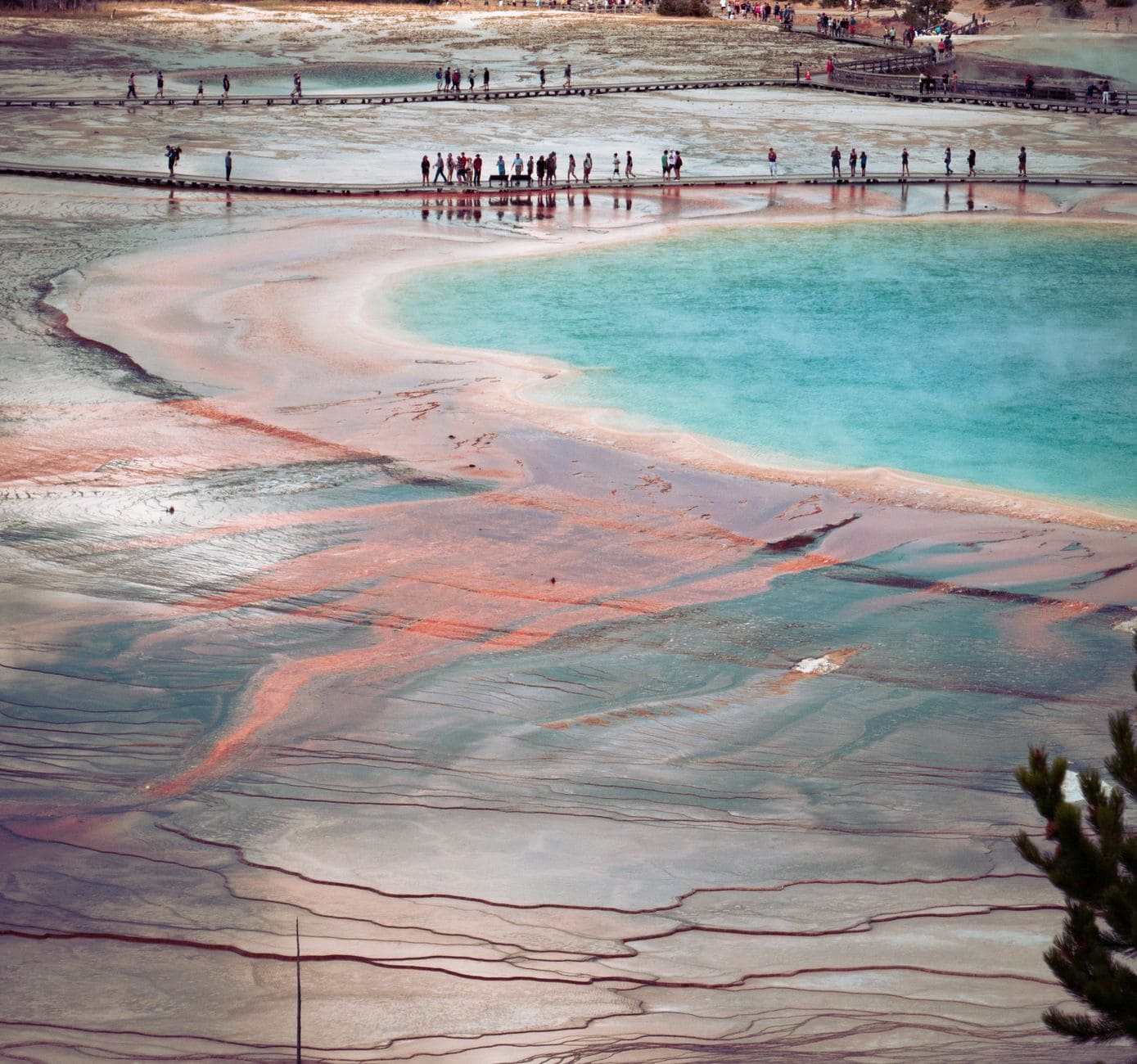 yellowstone tourists crowd