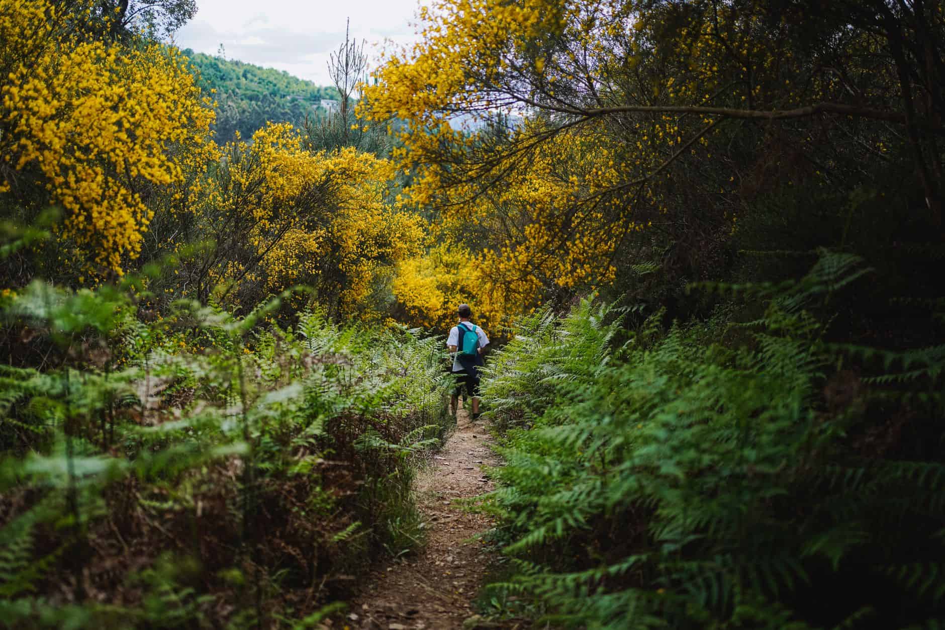 hiker trail wilderness