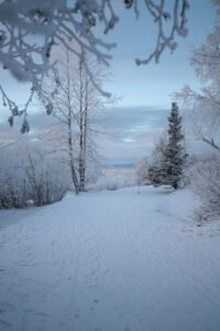 Anchorage Alaska skyline with mountains and winter snow