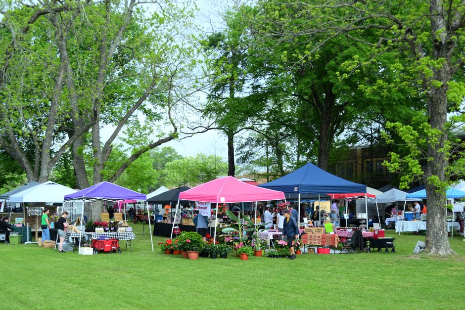Local farmers market stall in Asheville North Carolina
