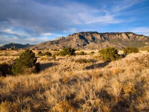 Albuquerque New Mexico with Sandia Mountains backdrop