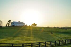 Kentucky horse farm with white fences near Lexington