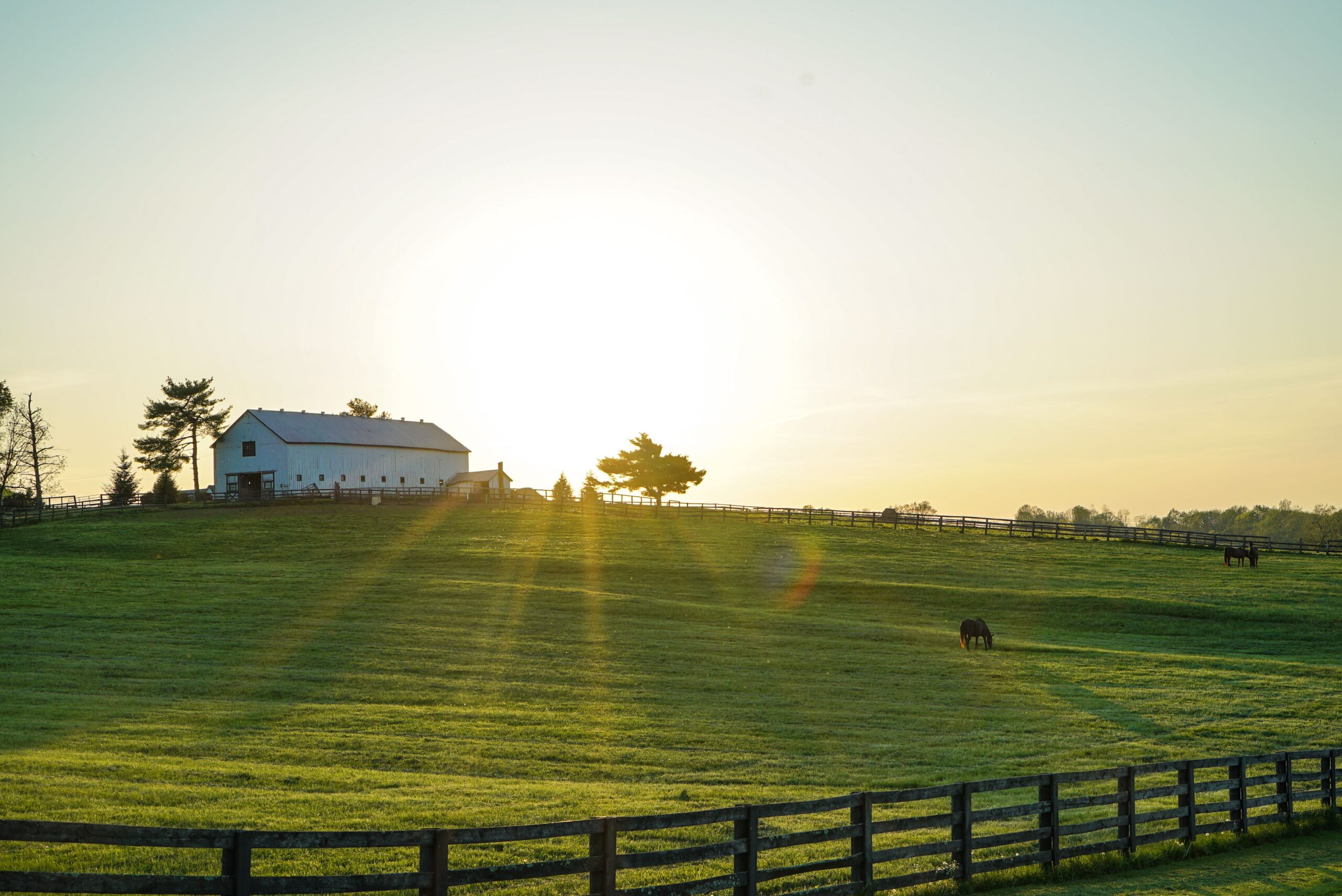 Kentucky horse farm with white fences near Lexington