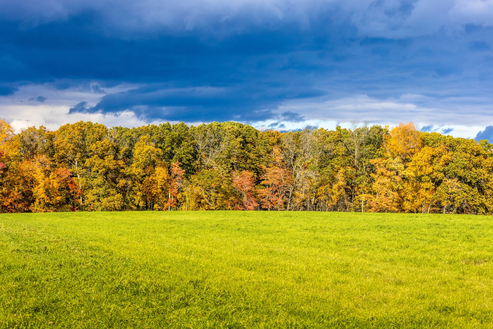 Tanglewood Alone Generates $103 Million a Year for the Berkshires. That’s What Turned a Fading Mill Region Into a Cultural Destination