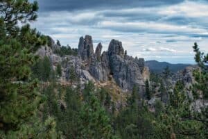 Pine forest and granite rock formations in the Black Hills of South Dakota