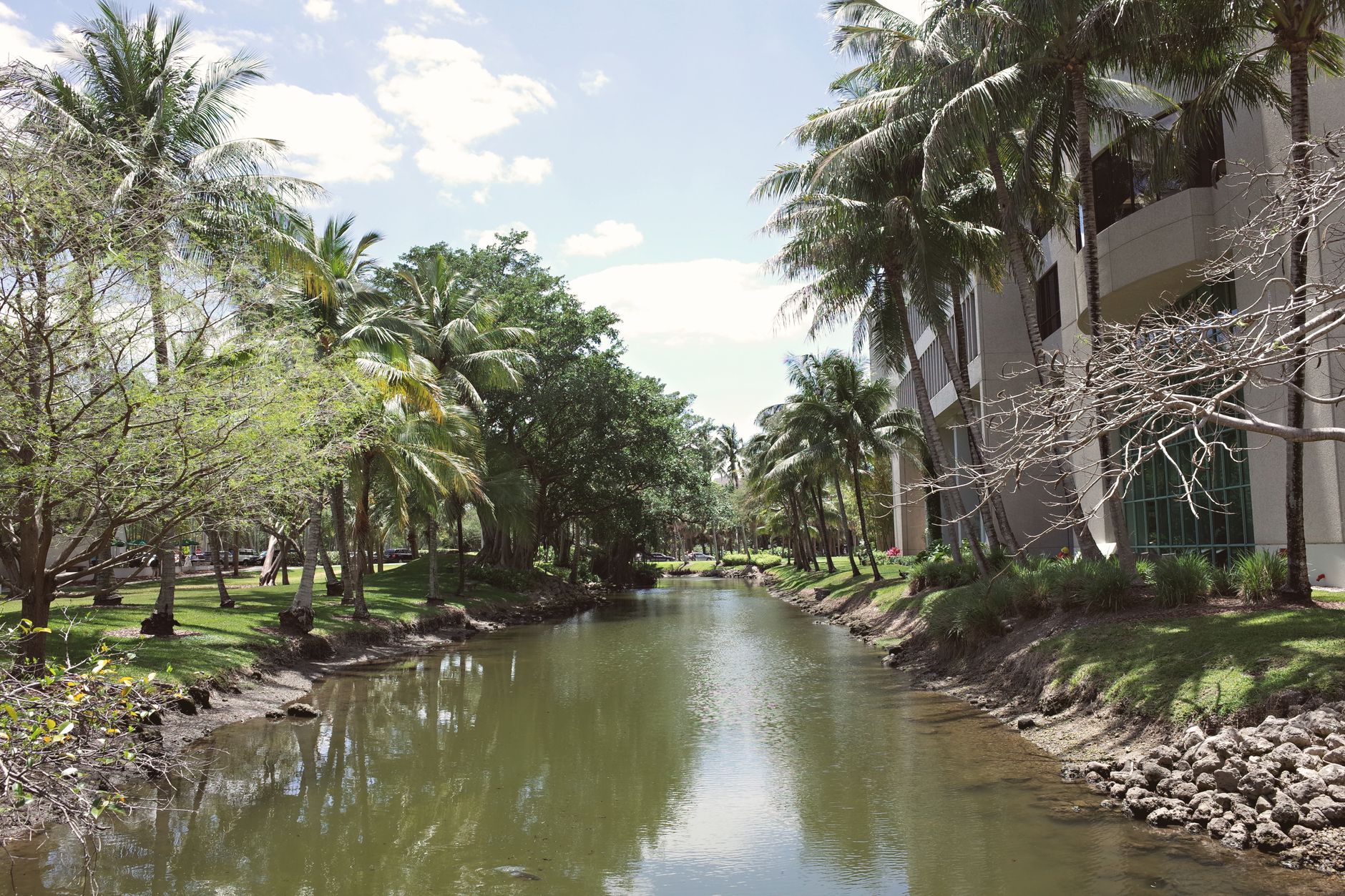 Aerial view of Cape Coral Florida canal neighborhoods