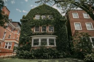 Chicago south side historic homes