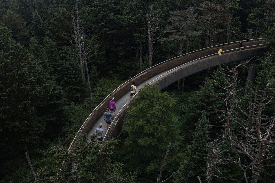 Hiking trail near Gatlinburg Tennessee