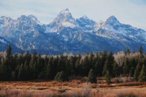 Grand Teton mountains reflected in Jenny Lake