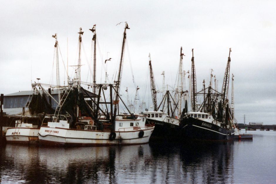 Fishing boats docked at small Gulf Coast marina
