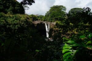 hilo hawaii waterfall rainforest