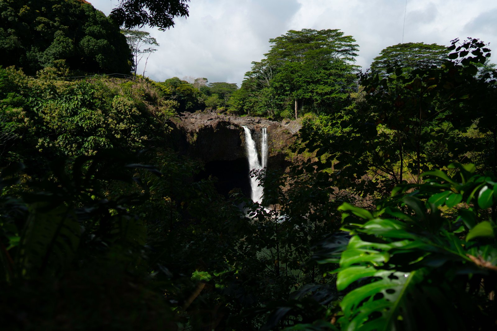 hilo hawaii waterfall rainforest