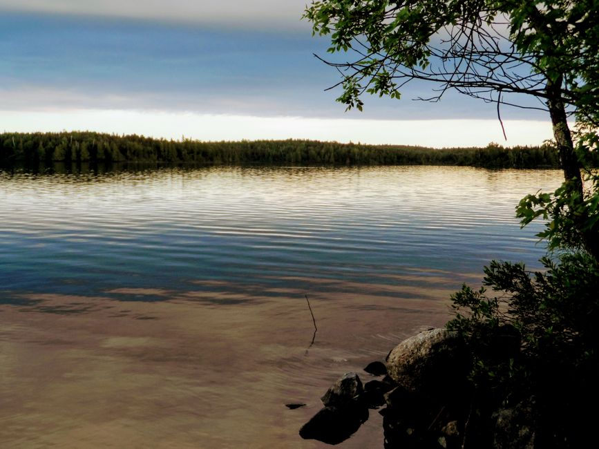 Lake Vermilion Minnesota forest shoreline