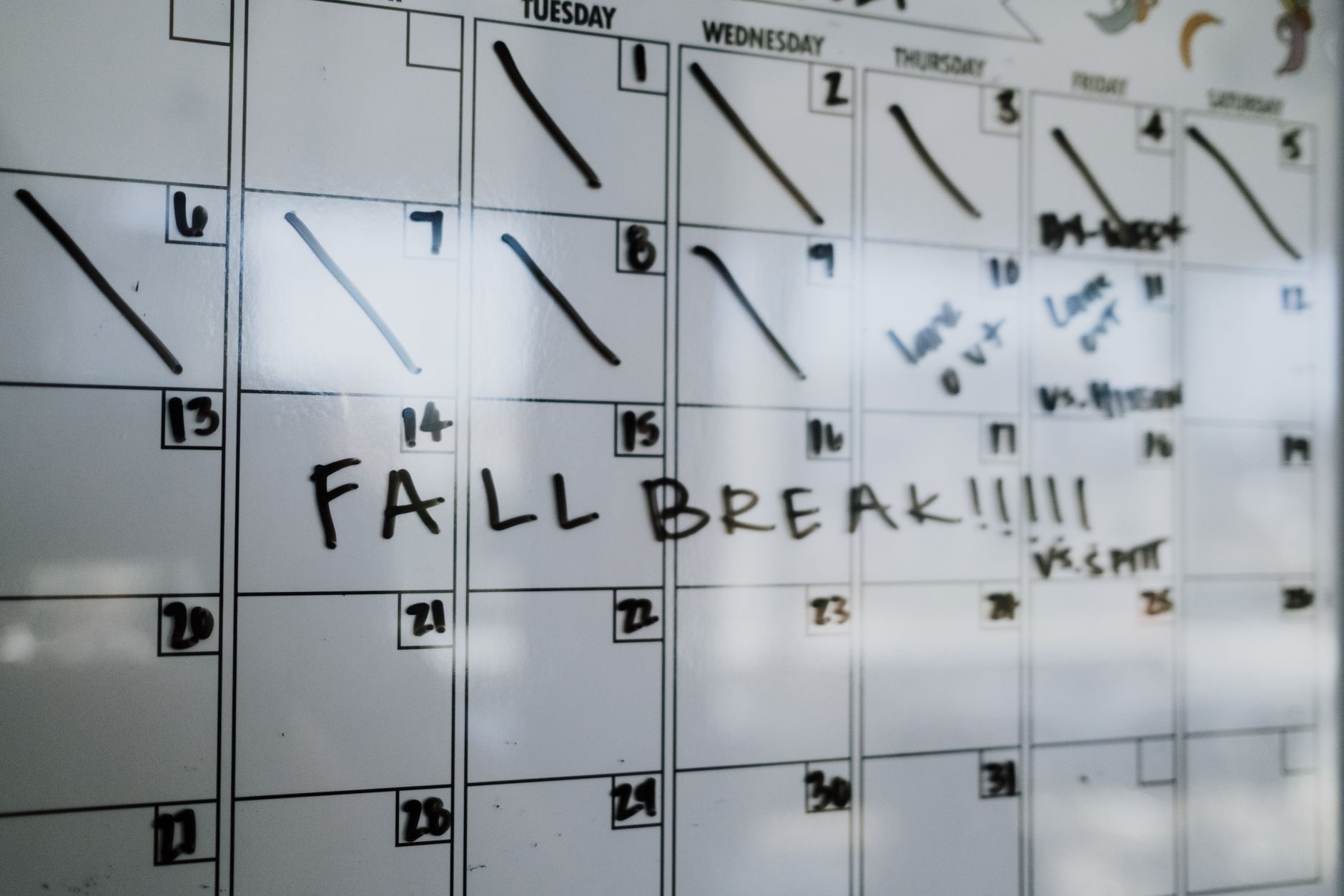 Calendar showing limited vacation days marked off
