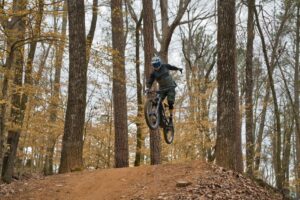 Mountain bike trail through Ozark forest