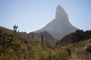 Wilderness landscape in the Gila National Forest near Silver City
