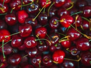 National Cherry Festival crowd in Traverse City Michigan
