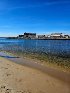 Provincetown harbor with fishing boats