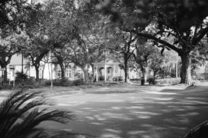 Savannah Georgia historic district square with oak trees
