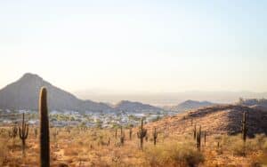 Scottsdale arizona desert