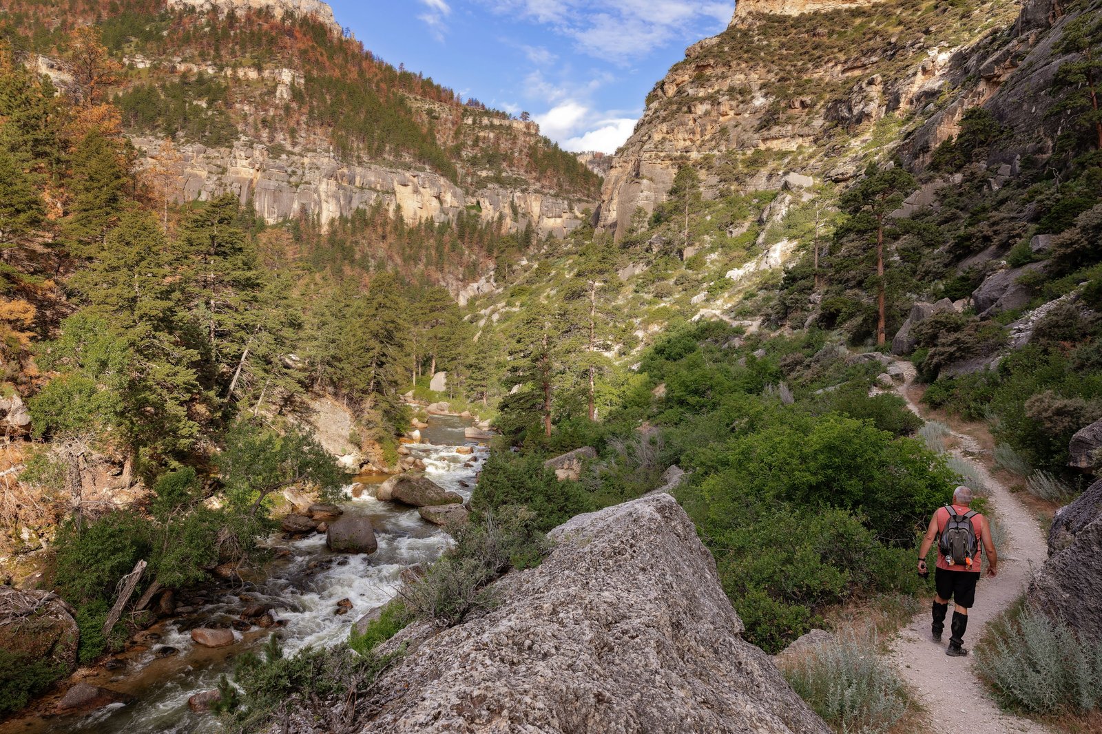 sheridan wyoming bighorn mountains