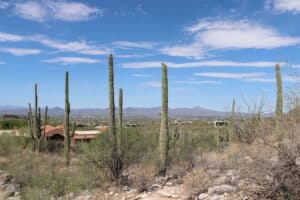 Tucson Arizona desert mountains retirement community