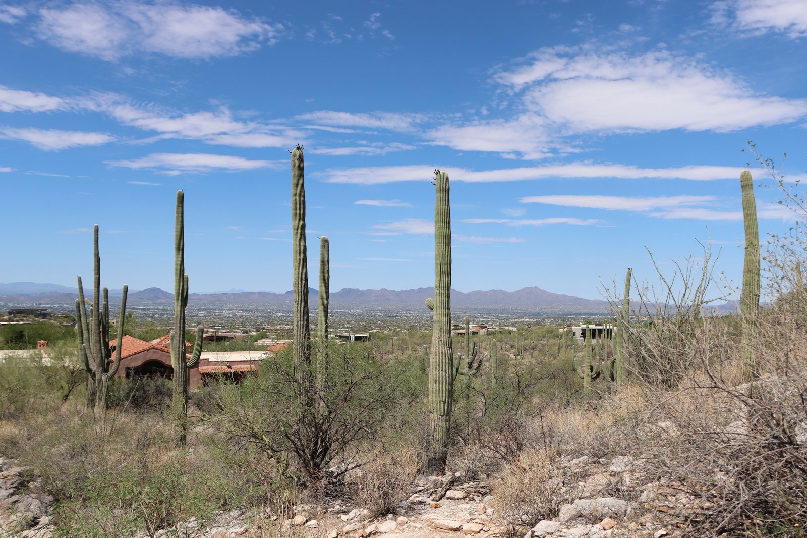 tucson arizona desert retirement