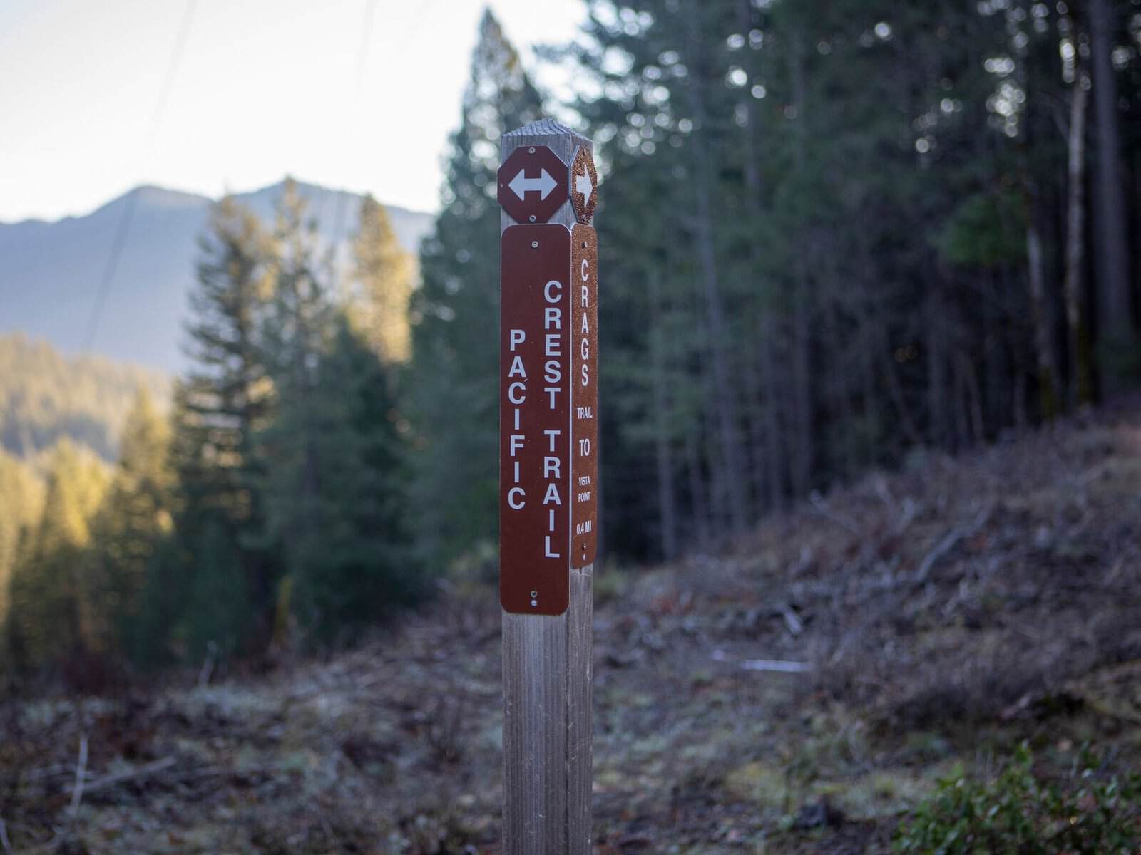 Serene view of Pacific Crest Trail sign in Castella, California, amidst lush forest and mountain backdrop.