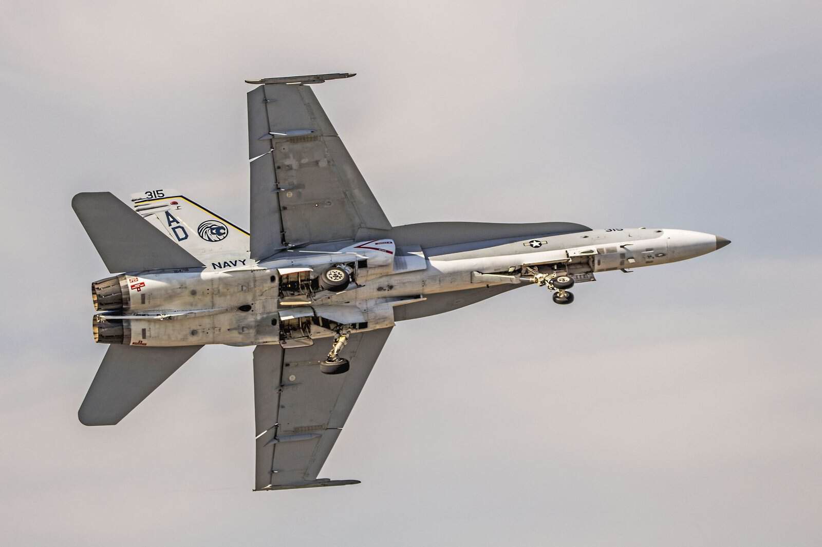 Dynamic view of an F/A-18 Hornet jet showcasing military aviation excellence over Florida.