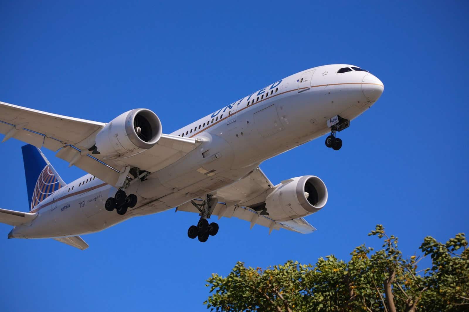 airlines decide which routes to operate seasonally versus year-round travel scene