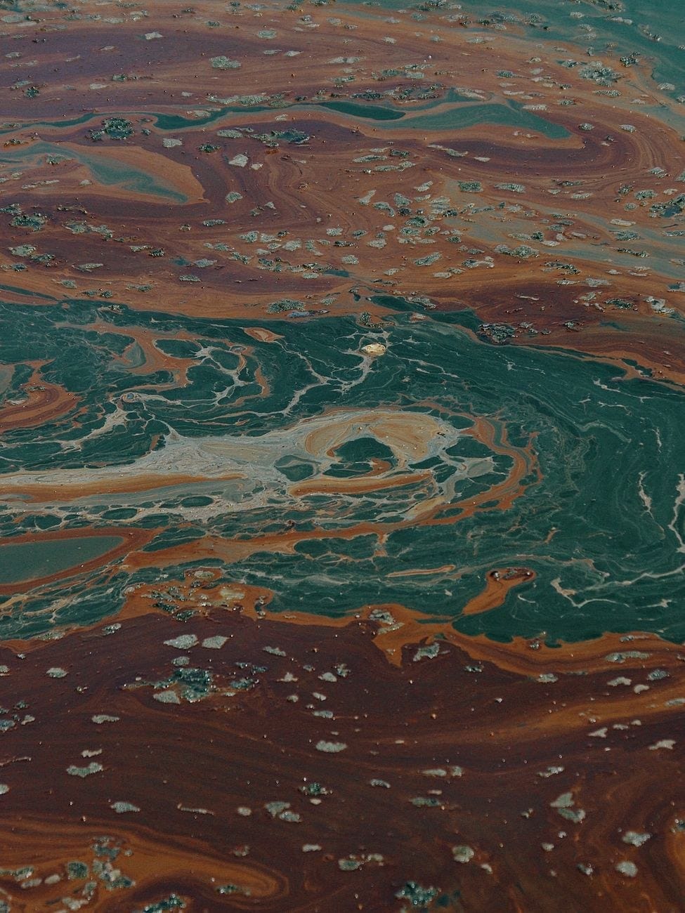 Travel scene related to What happens to a coastal town after a major oil spill – the specific 10-year recovery arc