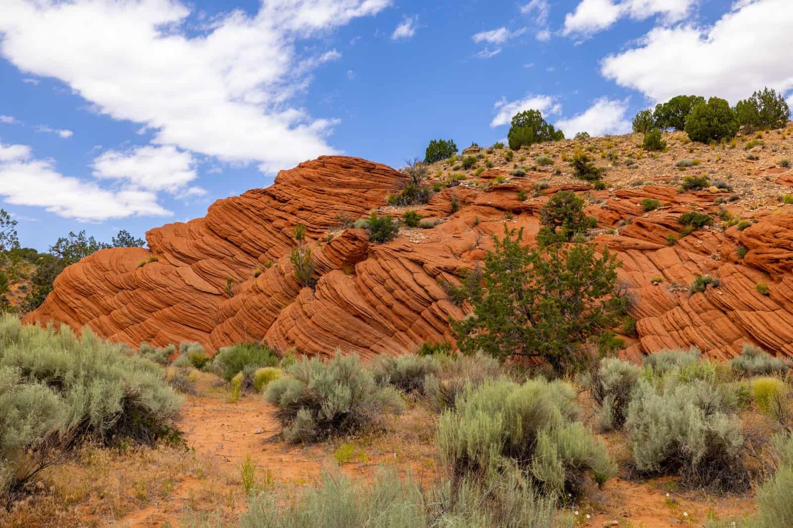 Beyond Utah’s Park Postcards, Cedar City and Kanab Are Growing — Here’s the Price Tourists Miss