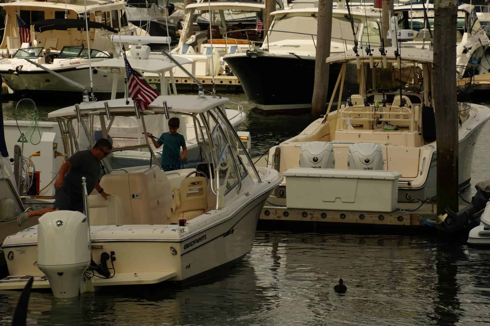 Motorboats docked at a bustling marina, showcasing boating lifestyle.