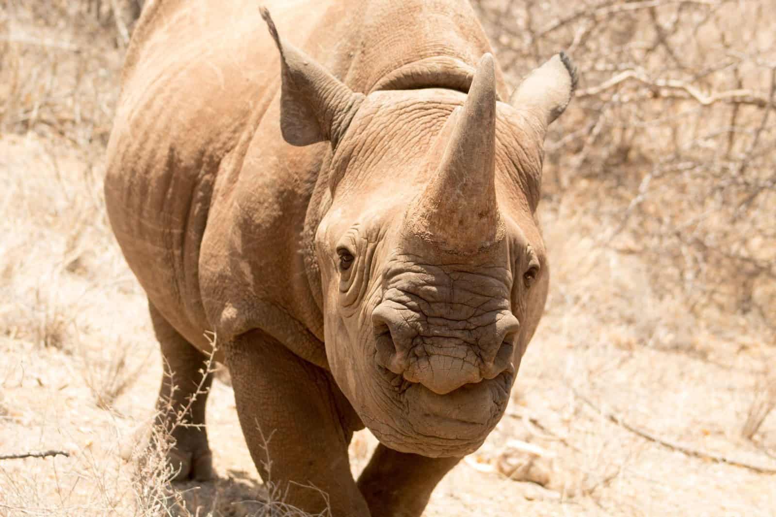Travel scene related to The countries where the relationship between tourism and conservation is most honestly managed